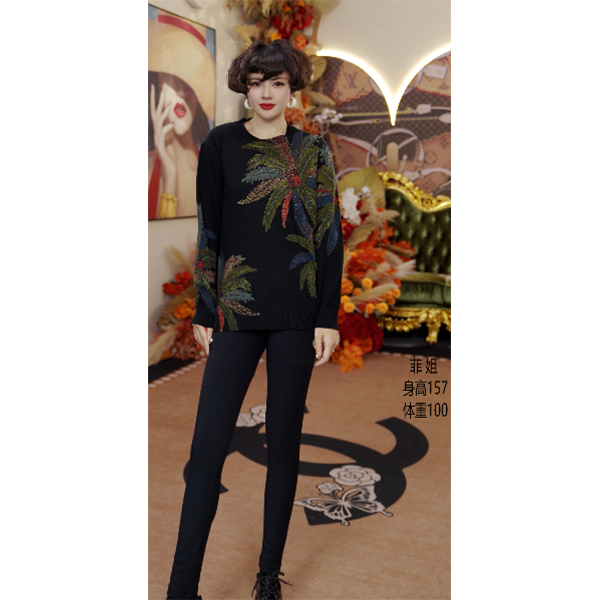 Q851 时尚气质女士圆领秋冬显瘦修身上衣