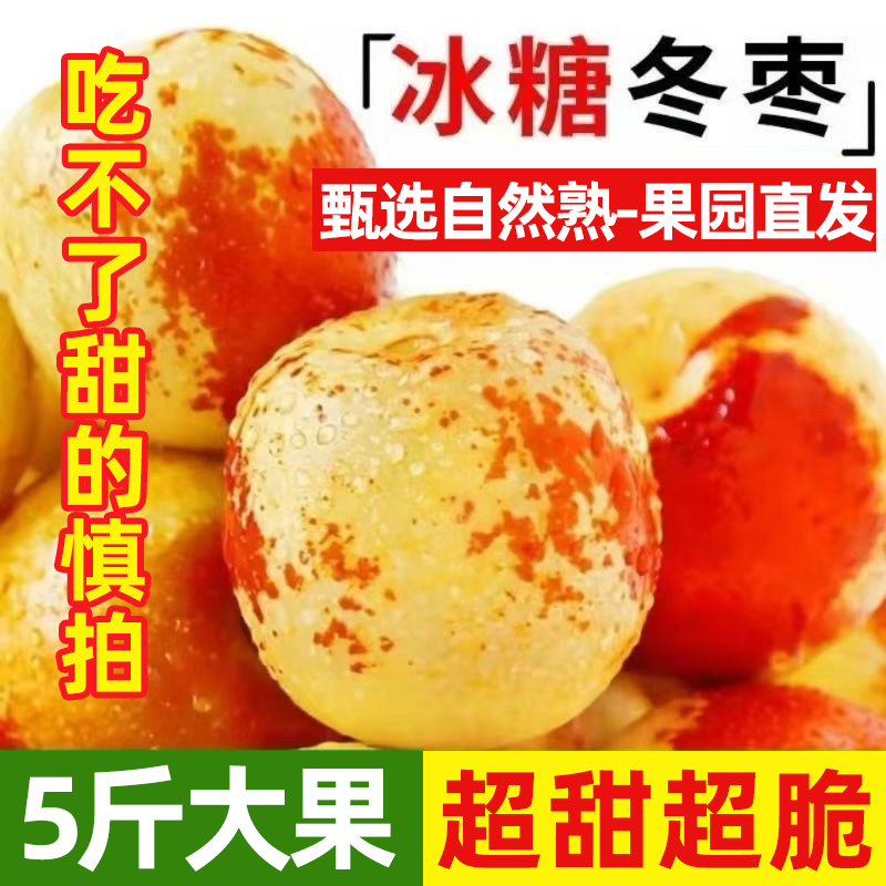 【冰糖冬枣】果园现摘沾化冬枣5斤整箱当季新鲜大果脆甜现发爽口