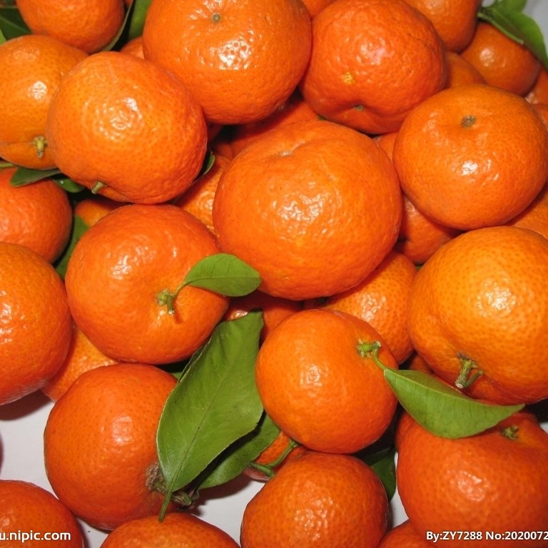 {一斤盒装}砂糖橘