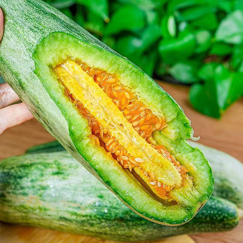 山东羊角蜜甜瓜新鲜应季水果4.5斤 头茬脆甜香瓜蜜瓜羊角脆zh