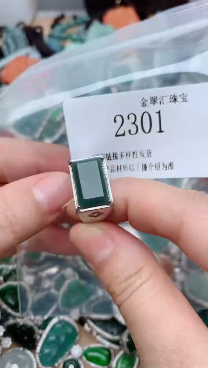 【闪购商品】翡翠颈饰未镶嵌2301