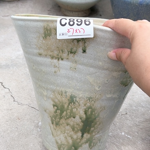 红陶20CM（含）-50CM（不含）