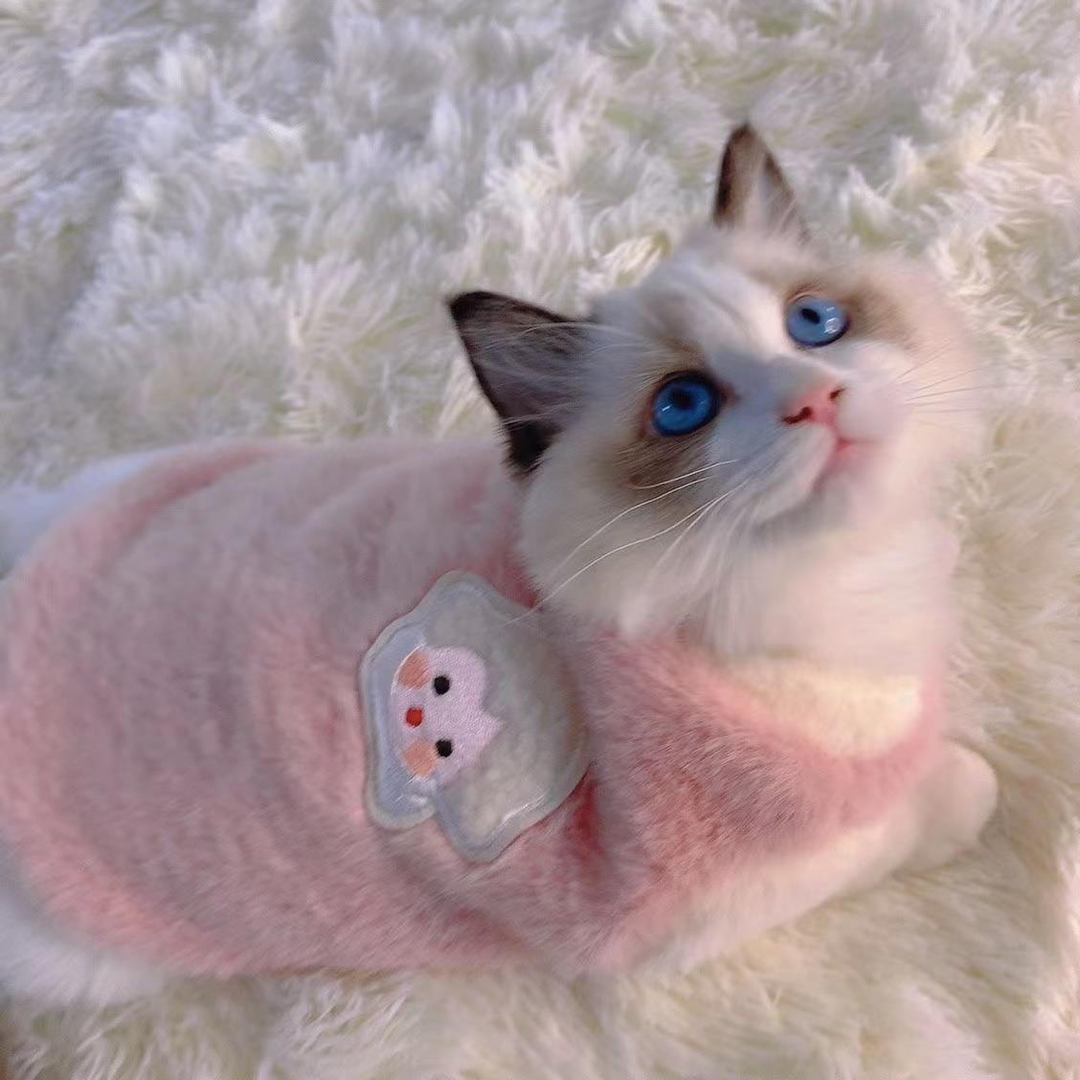 猫咪衣服秋冬布偶猫保暖背心绒衣宠物狗狗衣服小猫幼猫防掉毛厚实
