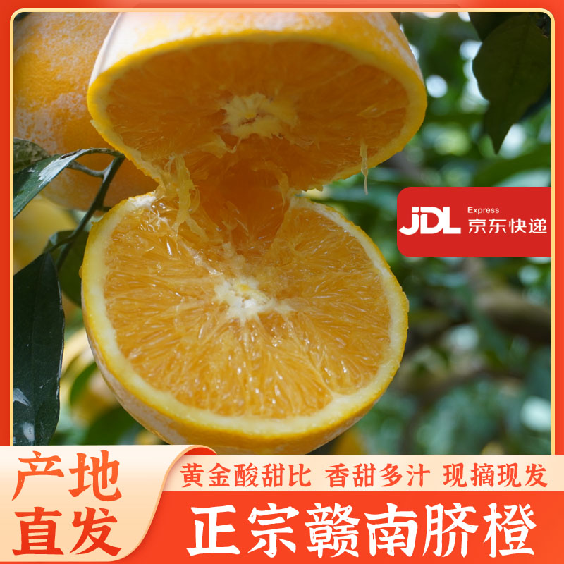 正宗赣南脐橙  现摘现发 不催熟 不打蜡新鲜水果 5-20斤