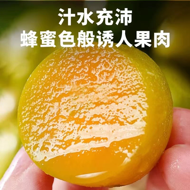 正宗蜂糖李脱骨李产地直发高山水果汁多肉厚夏季