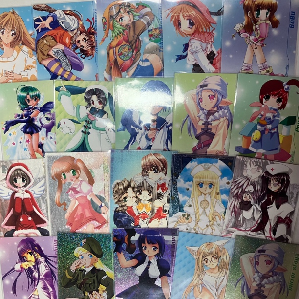 V.I.P冬夏系列Venus in paradise正版收藏卡日版中古卡（2张）