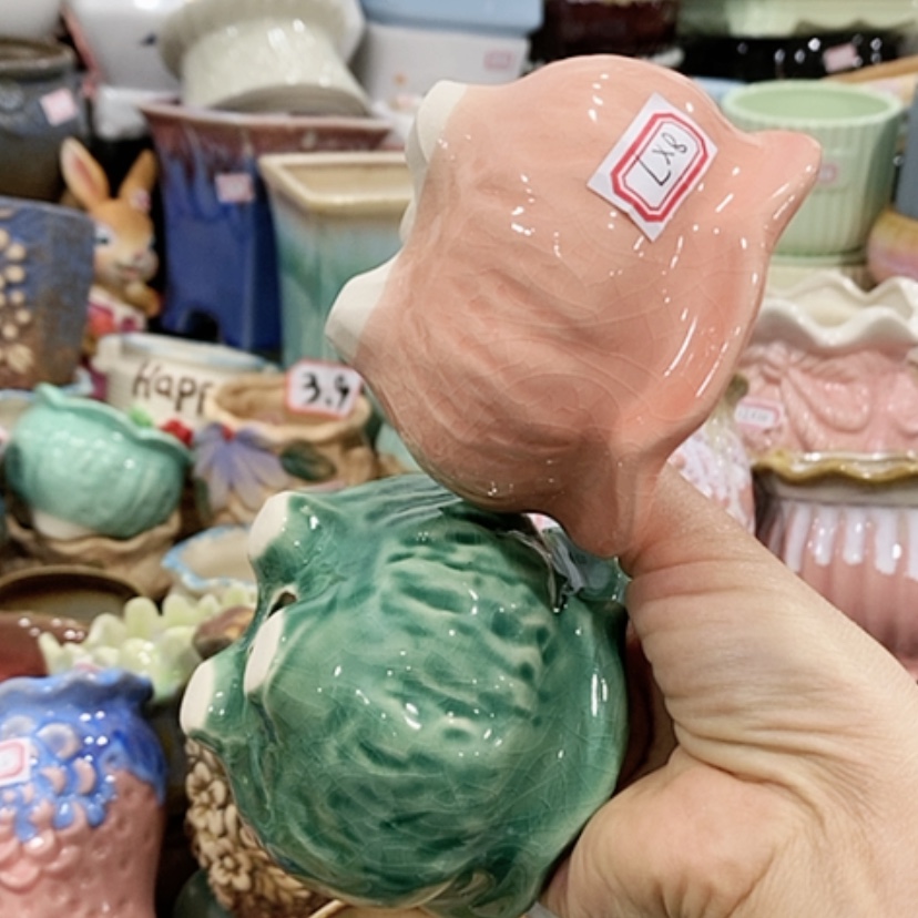 【闪购商品】红陶专业生产陶瓷多肉的特价店