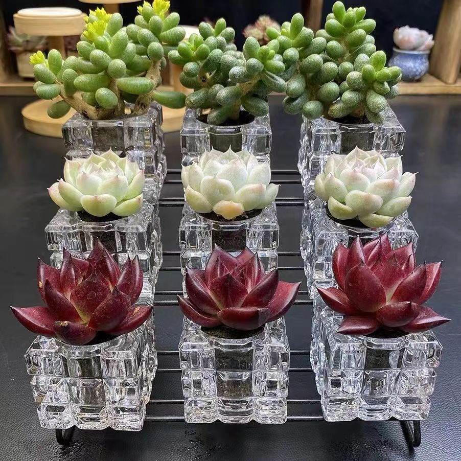创意水晶四方冰块玻璃烛台香薰玻璃器皿多肉植物无土栽培花器