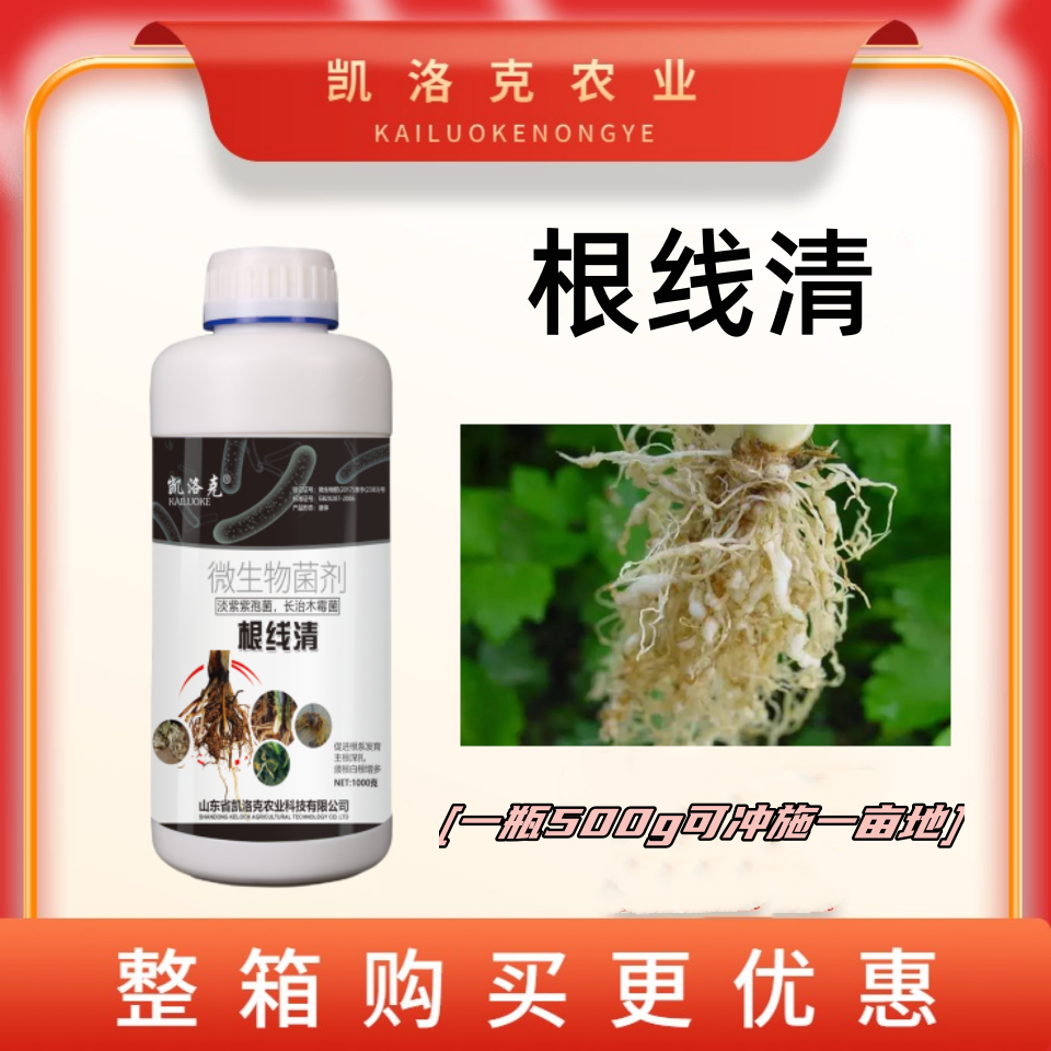 根线清根结线虫专用淡紫拟青菌紫孢菌番茄辣椒蔬菜果树瘤线虫活菌