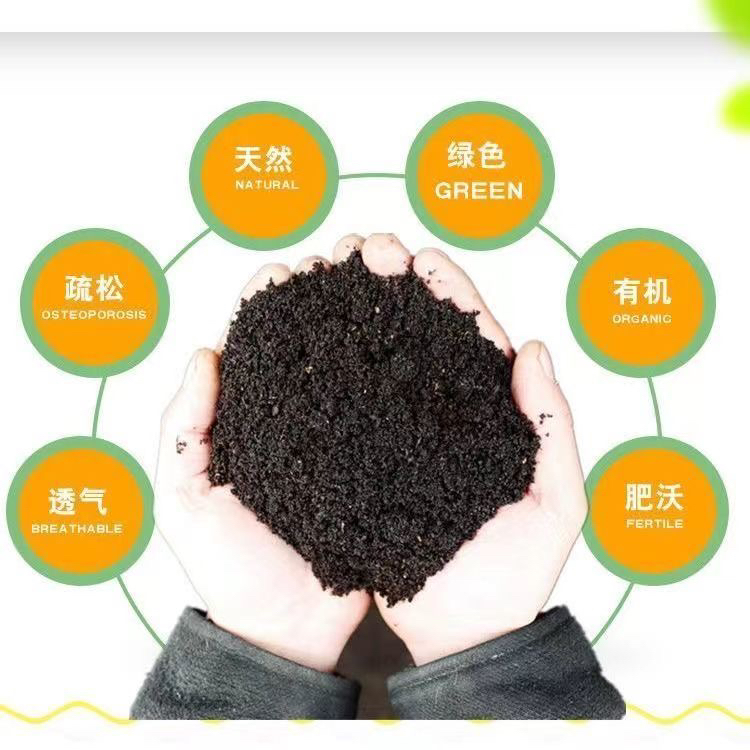 流泉枫树专用营养土