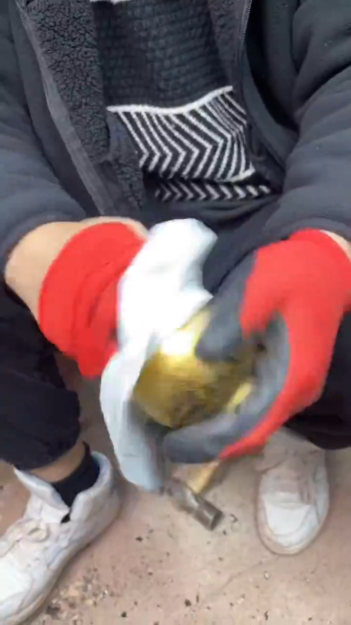 【闪购商品】瓷茶盏满钻金钵（配礼盒+证书）