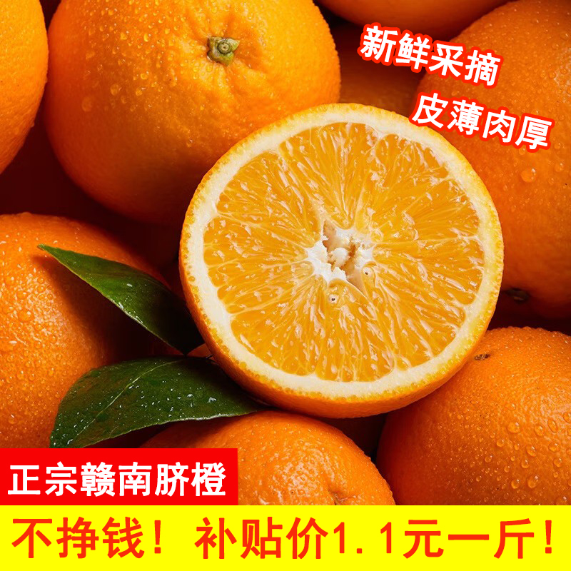 a粉丝福利【现摘现发】赣南脐橙江西橙子新鲜现摘水果脐橙时令生鲜