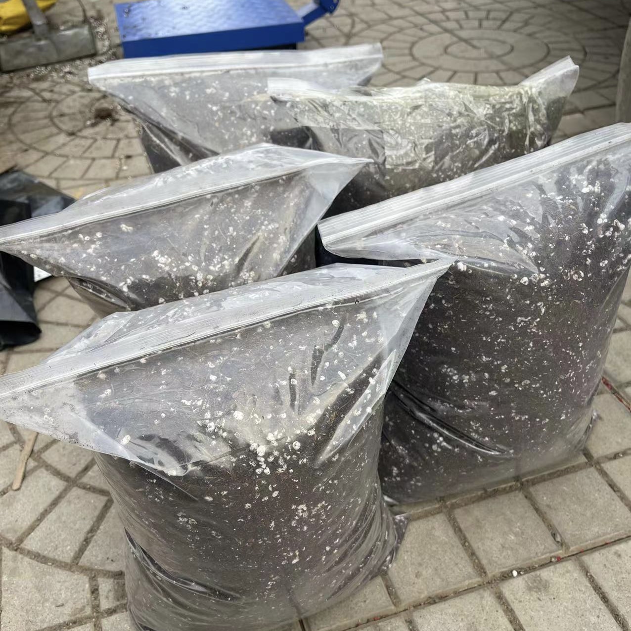 艺强家 营养土 4斤左右 自家调配 （回家直接使用）