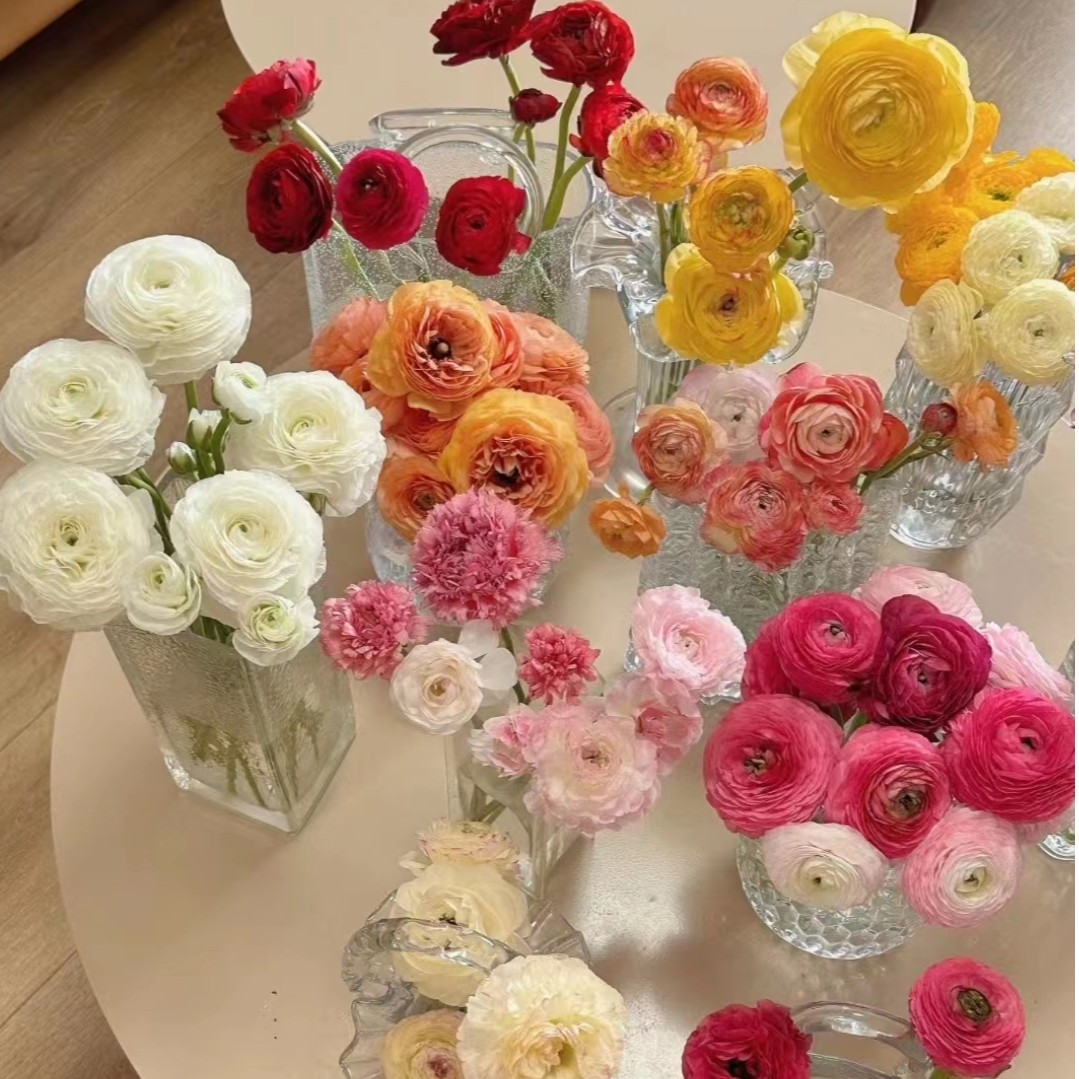 【洋牡丹】新森林鲜花【任意两单包邮】【0度不拍保温棉，冻坏不售后】