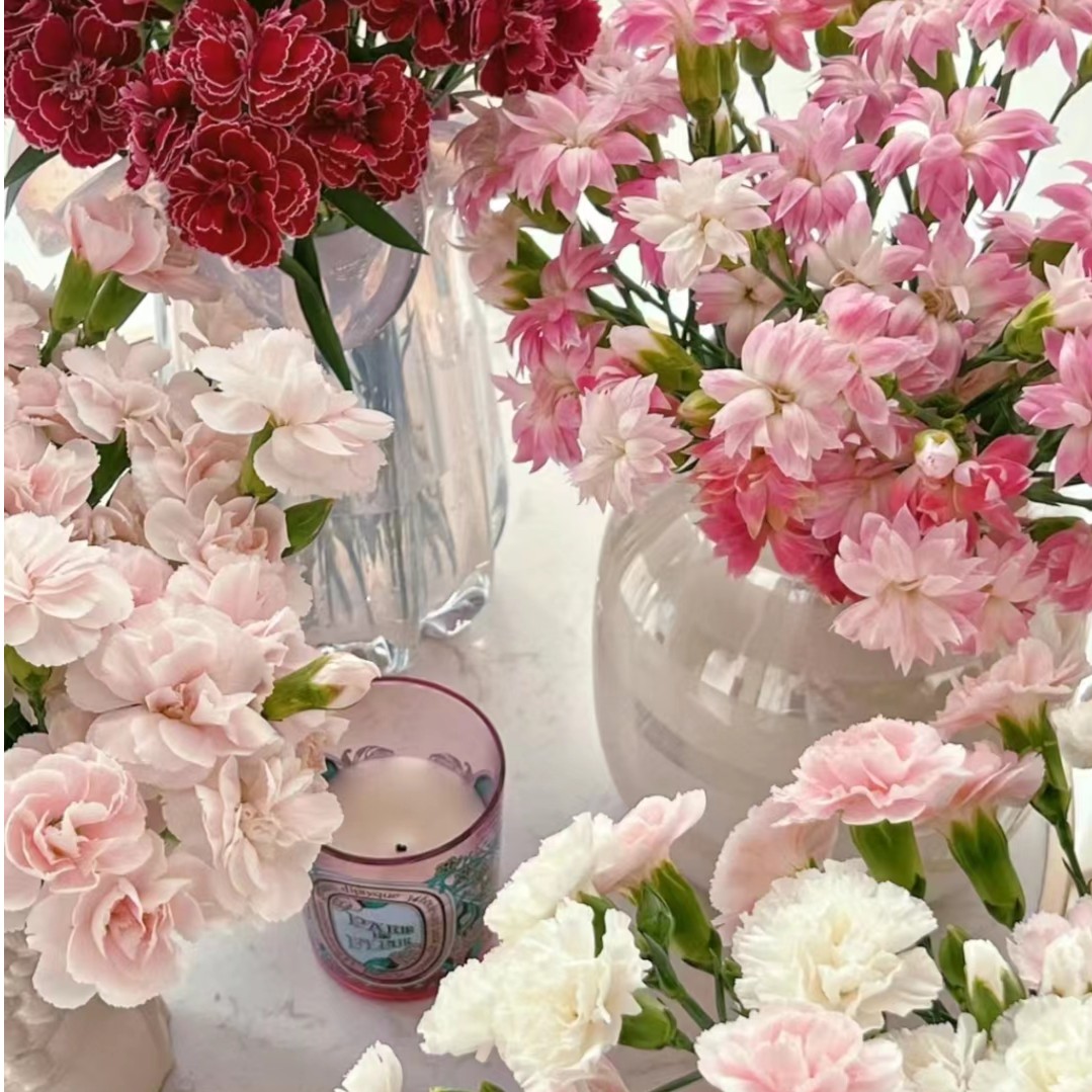 【多头康乃馨】云南鲜花【任意两单包邮】【0度不拍保温棉，冻坏不售后】