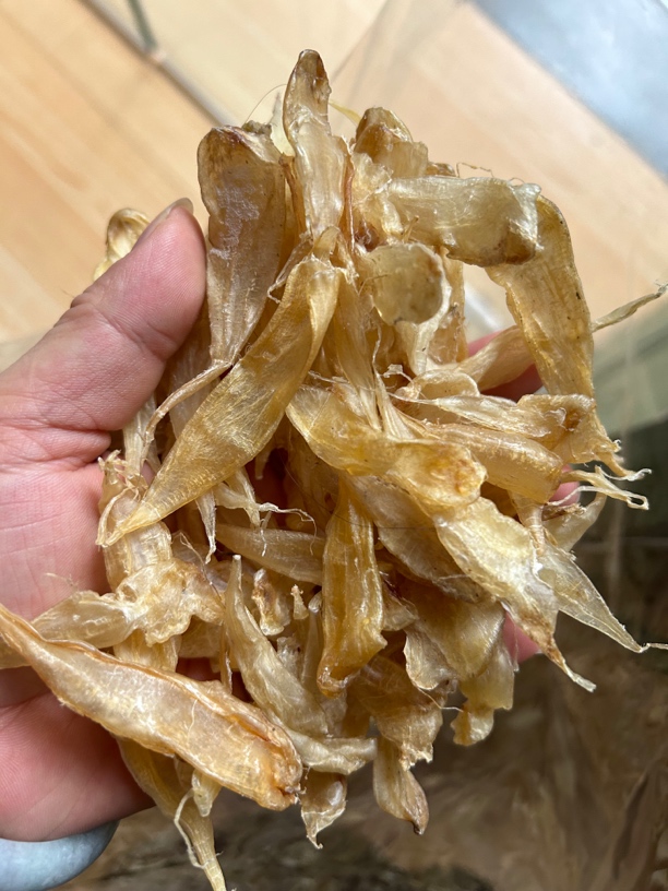 同生堂花胶 豆仁胶鱼胶