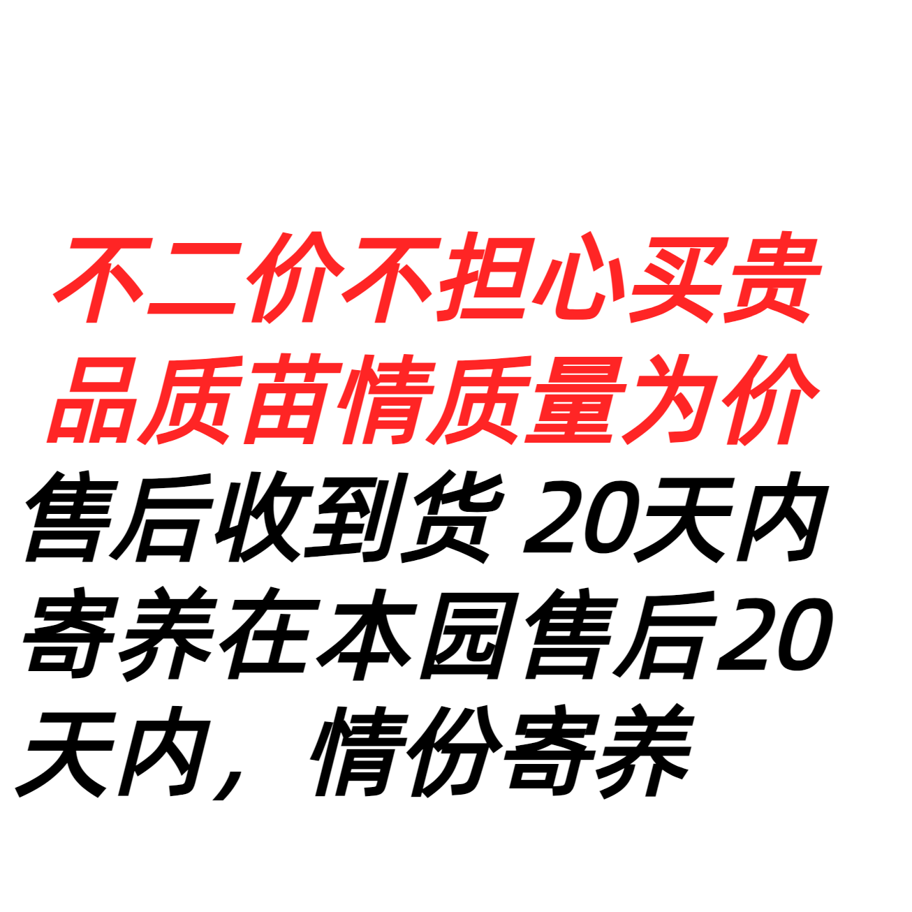 诚锦兰园兰花链接