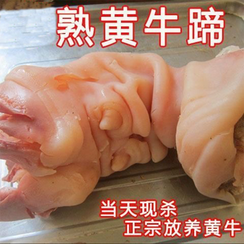 新鲜黄牛牛蹄子熟牛蹄去毛去骨熟牛筋清水原味牛蹄