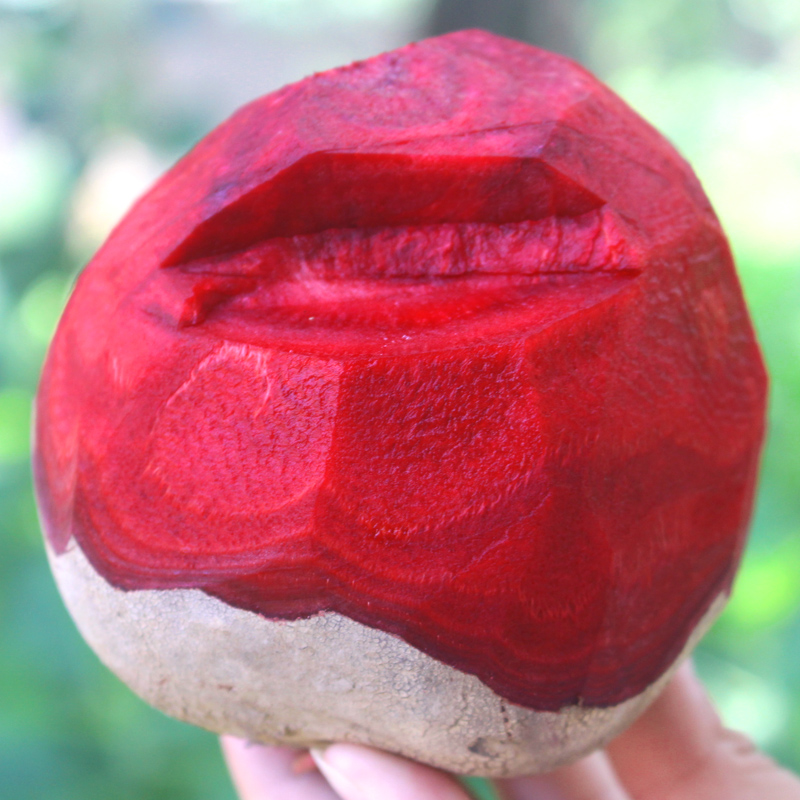 现挖甜菜根新鲜甜菜头榨汁喝紫皮甜菜头红心凉拌水果农家自种蔬菜