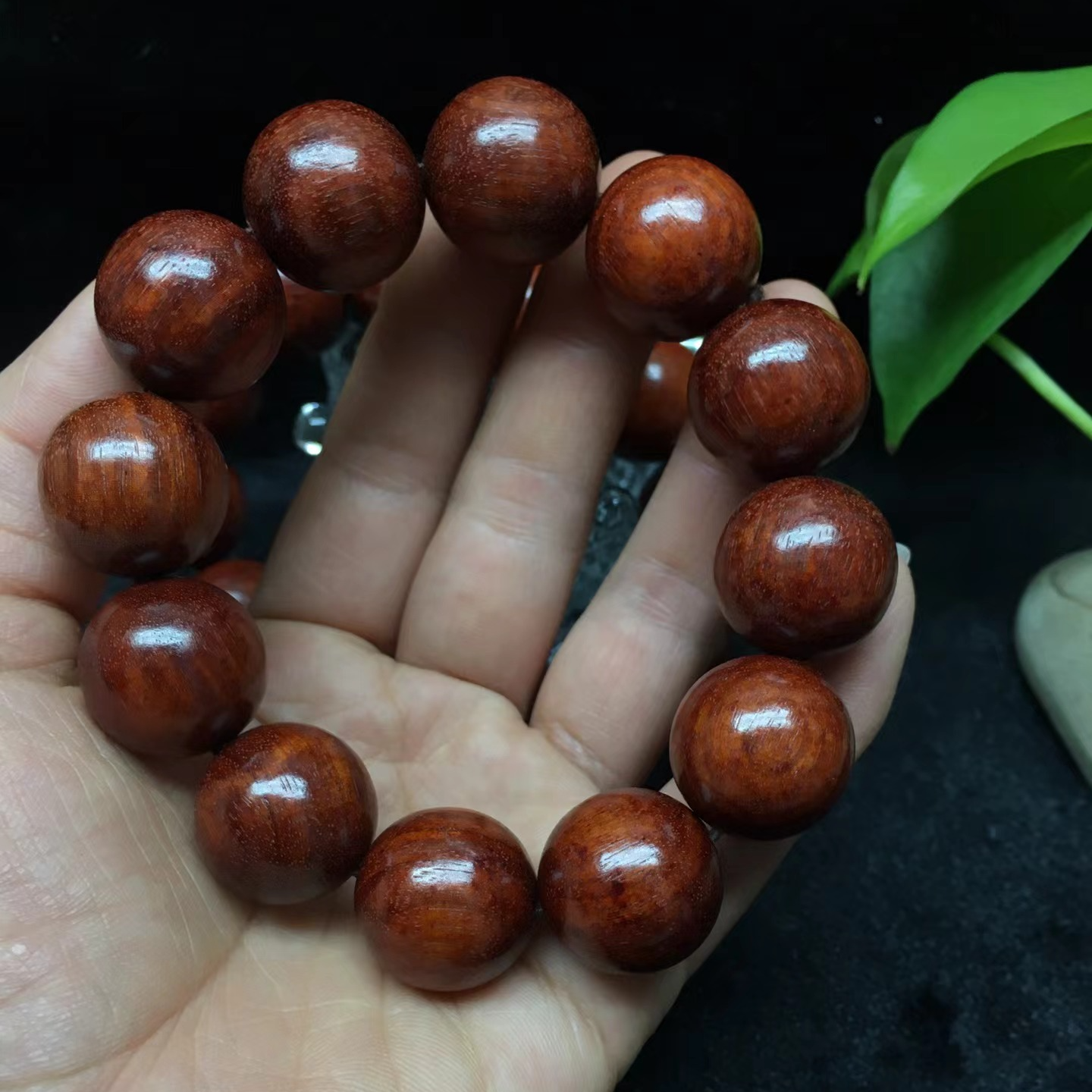 非洲小叶紫檀赞比亚血檀