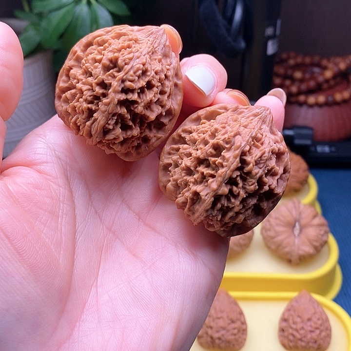 文玩核桃把件满天星41