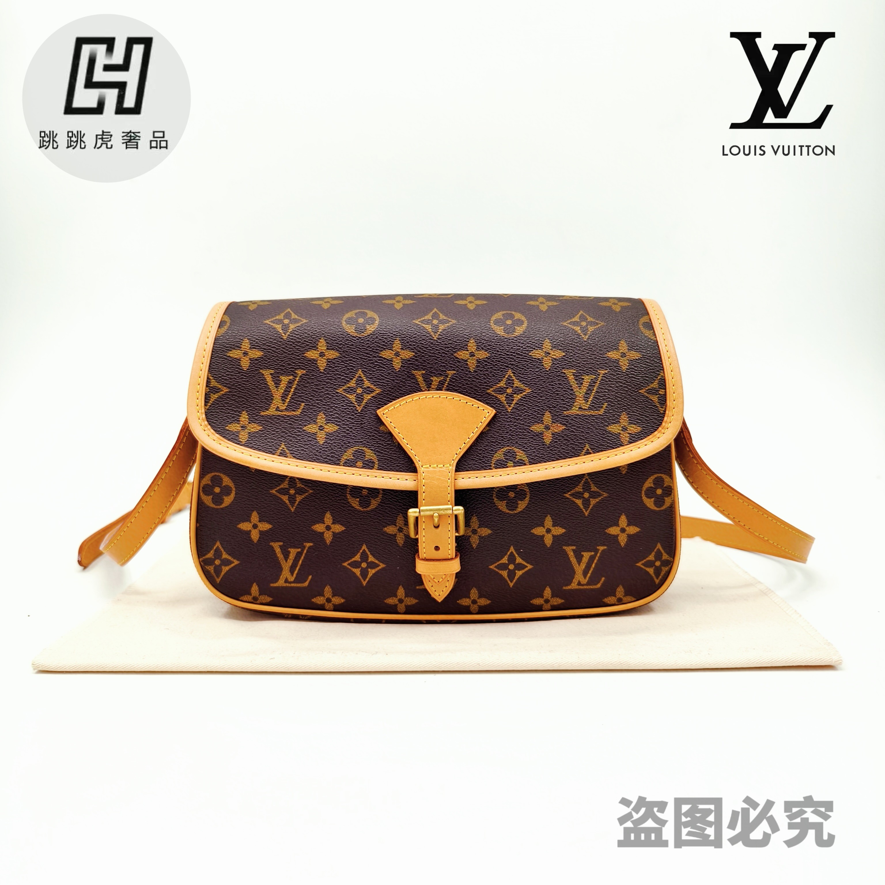 修复品LouisVuitton/路易威登lv老花Diane老花法棍邮差包/斜挎包