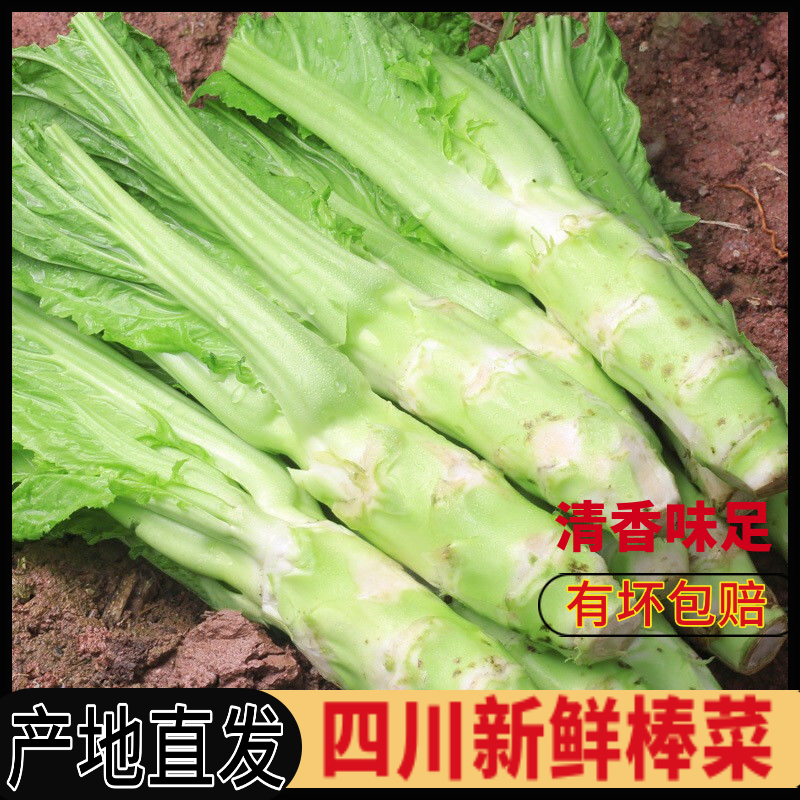 【四川棒棒菜  普通快递】新鲜农家菜脑壳芥菜头青菜头2/3/5/8斤