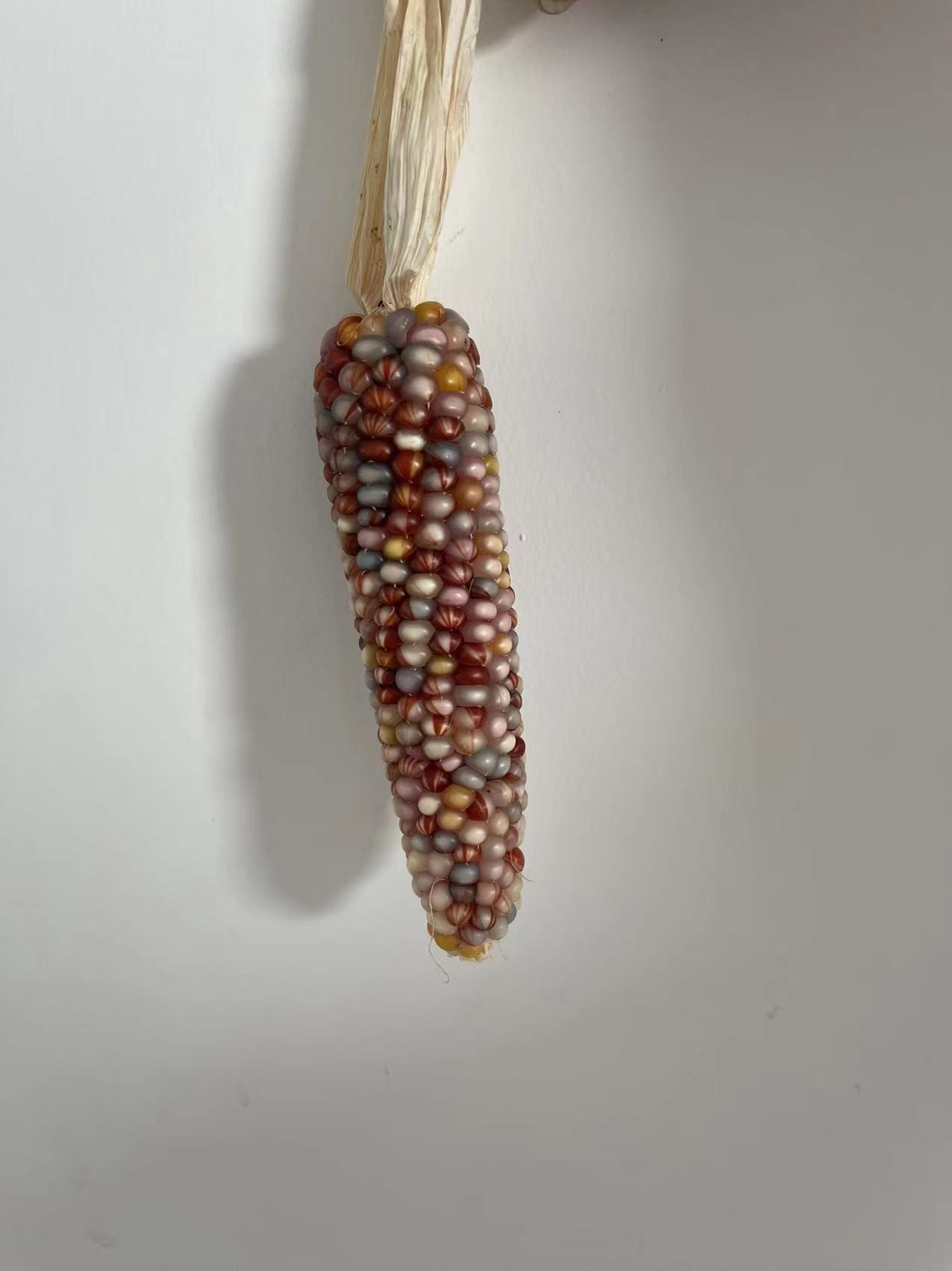 盘玩玉米；一物一拍