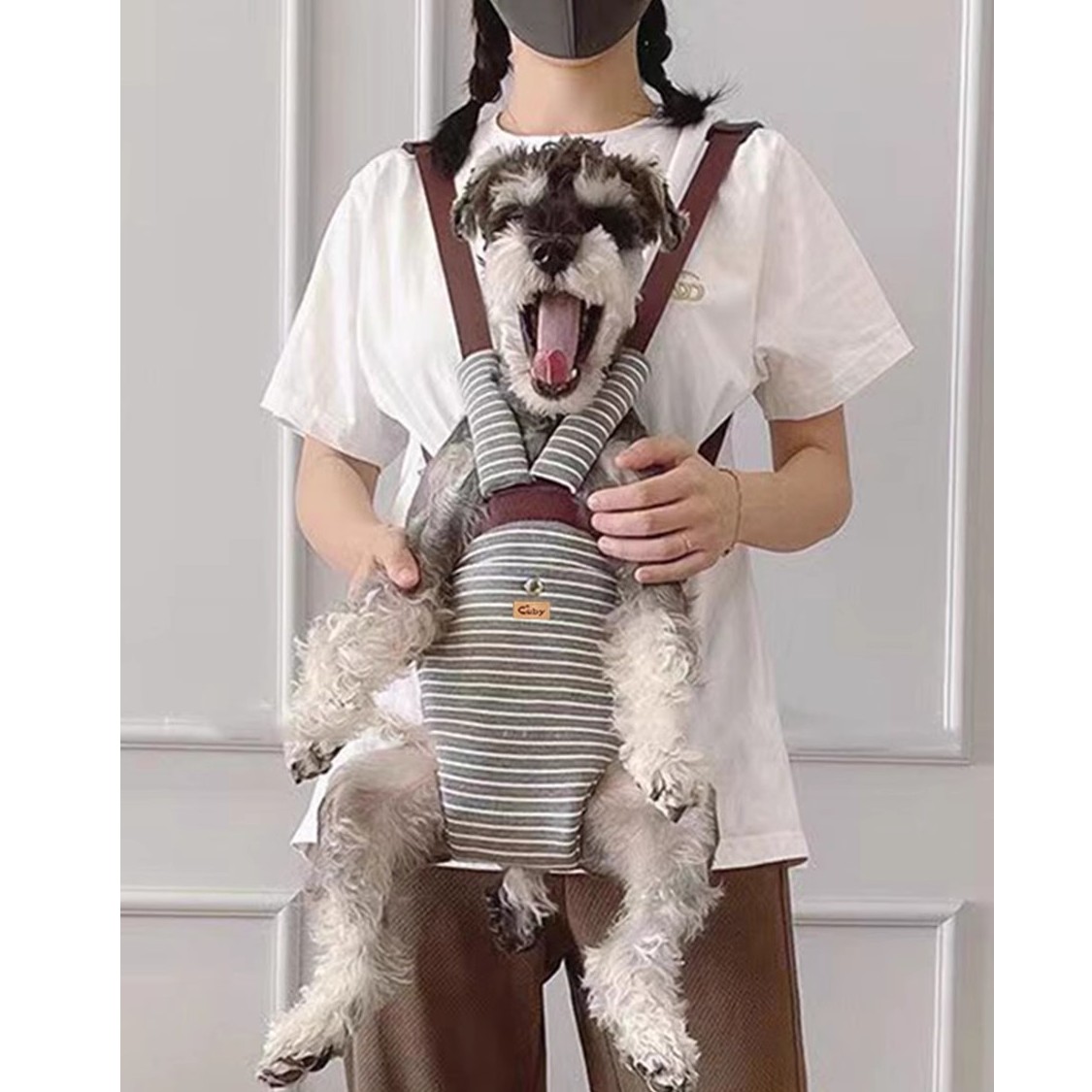狗狗背包双肩包条纹便携狗背包骑车胸前背带比熊泰迪宠物四脚背包