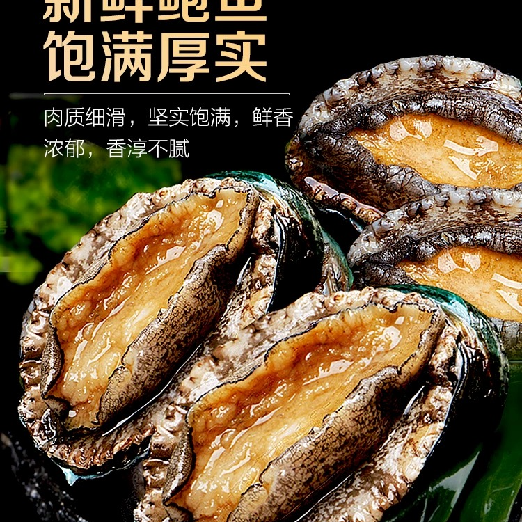 星空鲍鱼 新鲜保肥海鲜美味鲍鱼可口