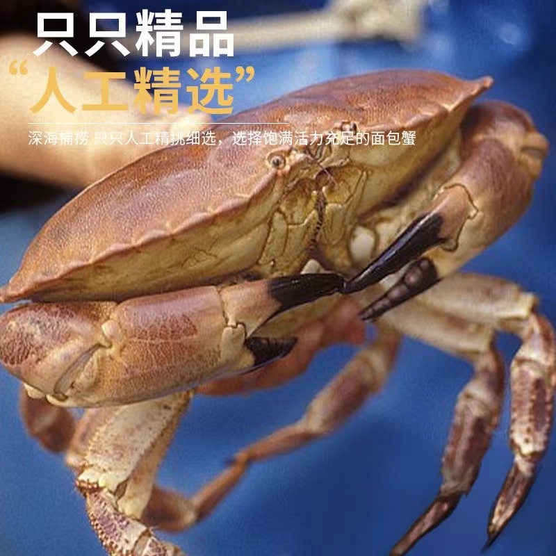 面包蟹1只