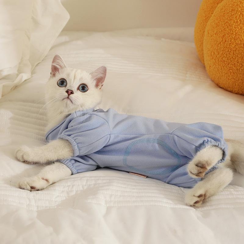 猫咪衣服冬季保暖猫秋装护肚子银渐层防掉毛宠物猫猫小猫四脚秋冬