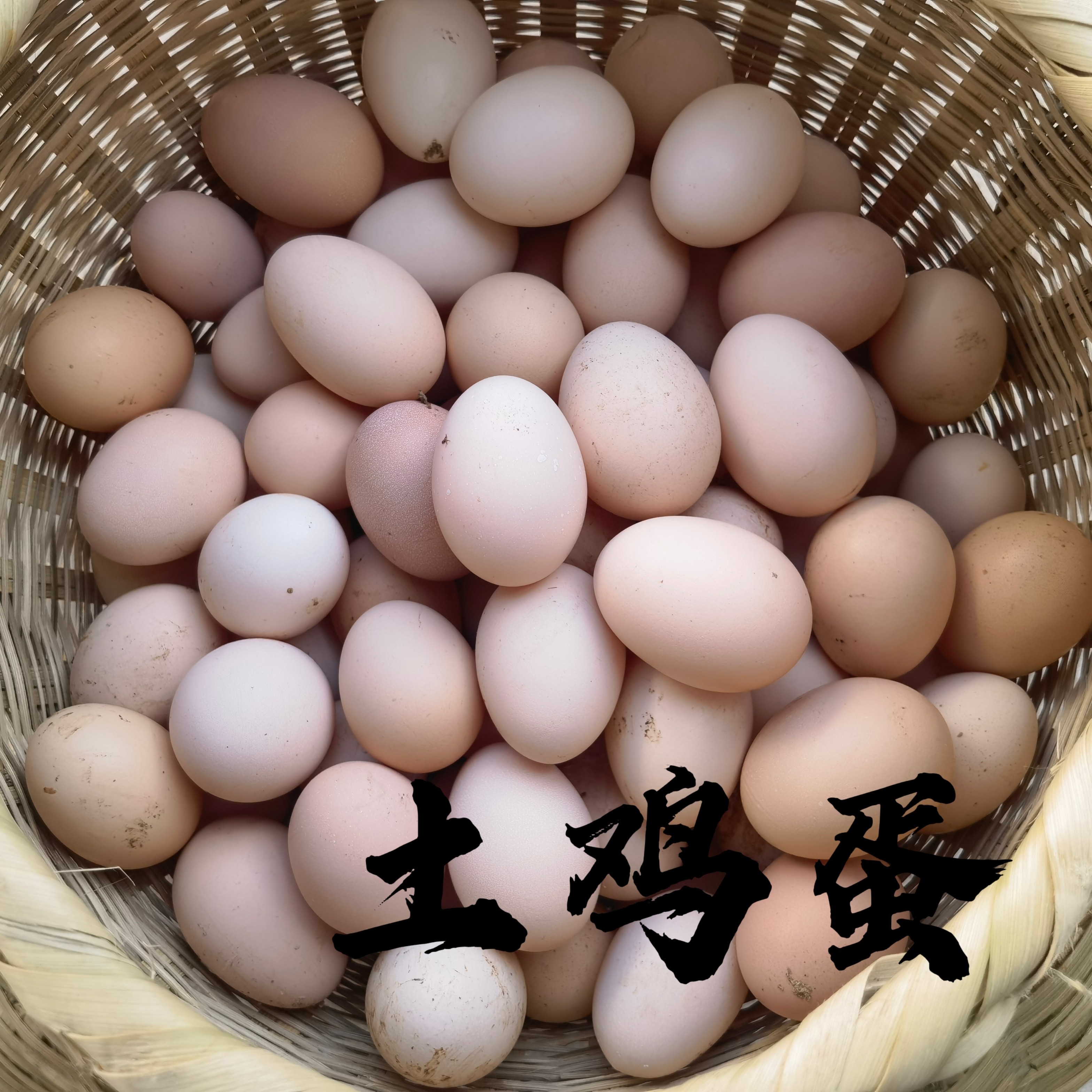 正宗原生态土鸡蛋100枚3天内发货单枚净含量35-45g