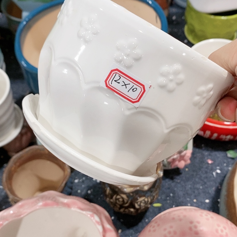 【闪购商品】红陶20CM（含）-50CM（不含）
