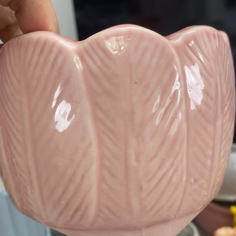 【闪购商品】红陶20CM（含）-50CM（不含）