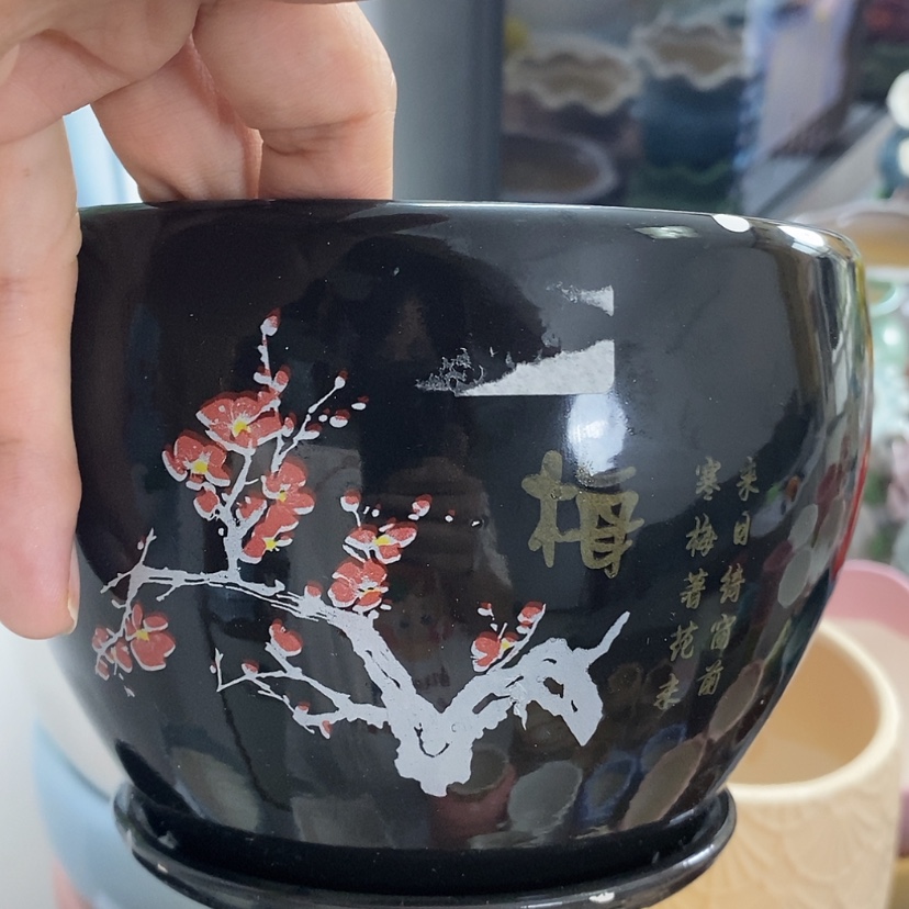 【闪购商品】红陶20CM（含）-50CM（不含）