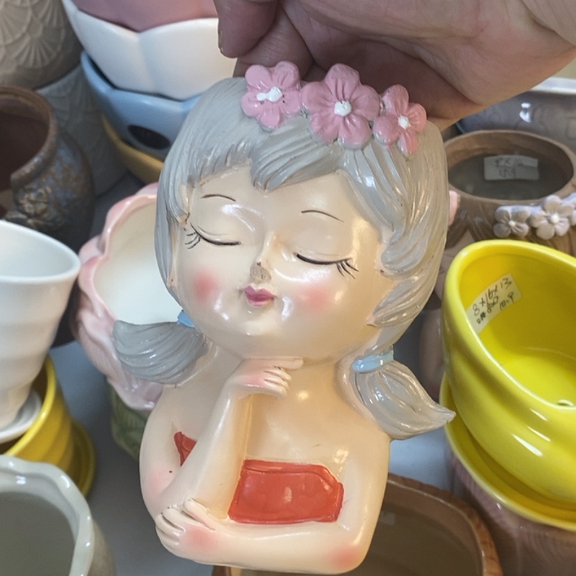 【闪购商品】红陶20CM（含）-50CM（不含）
