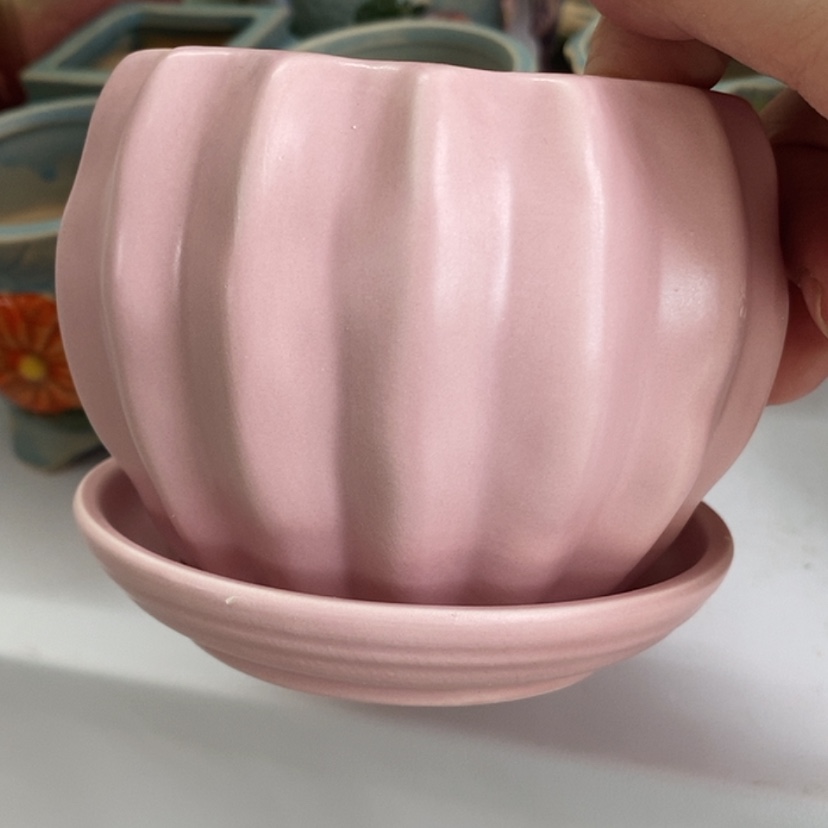 【闪购商品】红陶20CM（含）-50CM（不含）