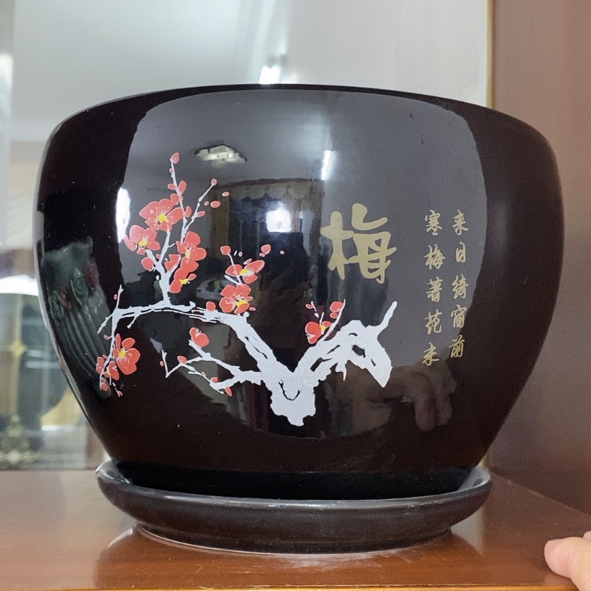 【闪购商品】红陶20CM（含）-50CM（不含）