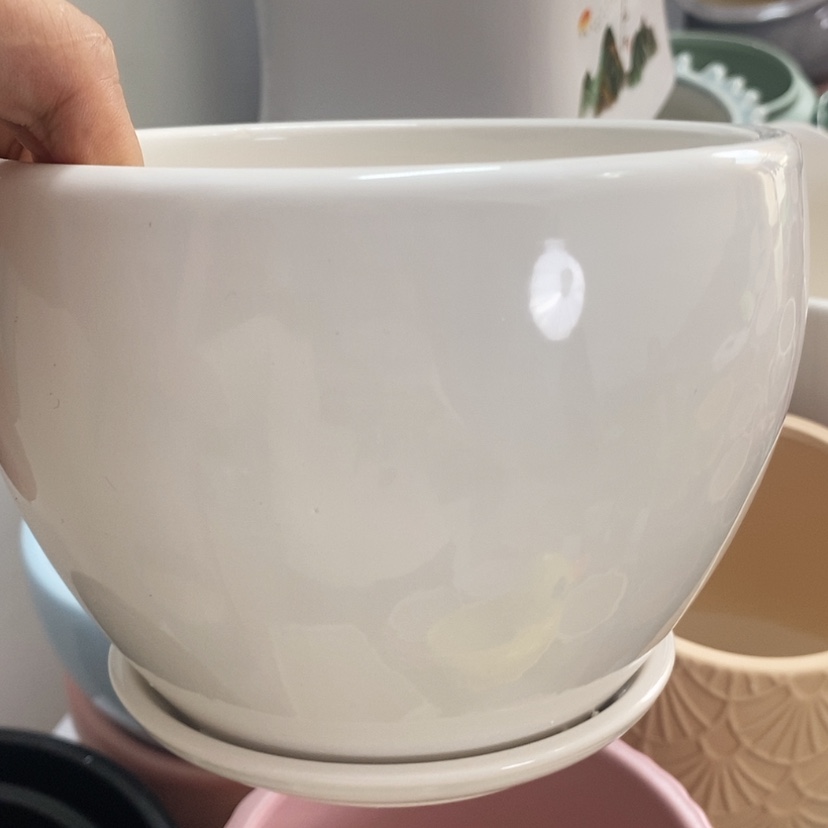 【闪购商品】红陶20CM（含）-50CM（不含）