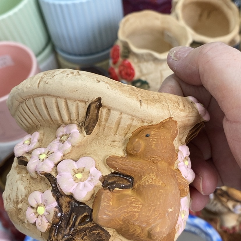 【闪购商品】红陶20CM（含）-50CM（不含）