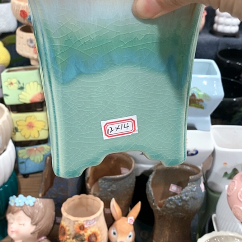 【闪购商品】红陶特价活动开始时间