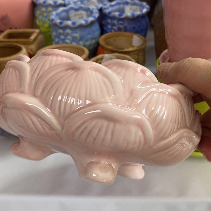 【闪购商品】红陶20CM（含）-50CM（不含）