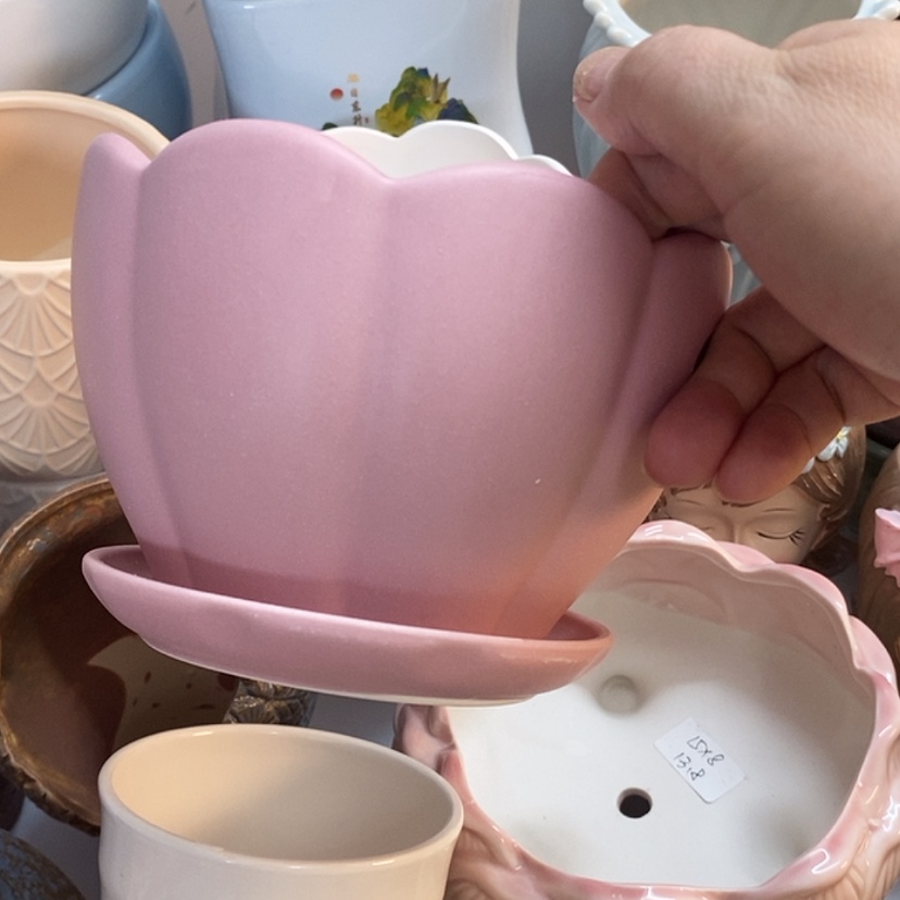 【闪购商品】红陶20CM（含）-50CM（不含）