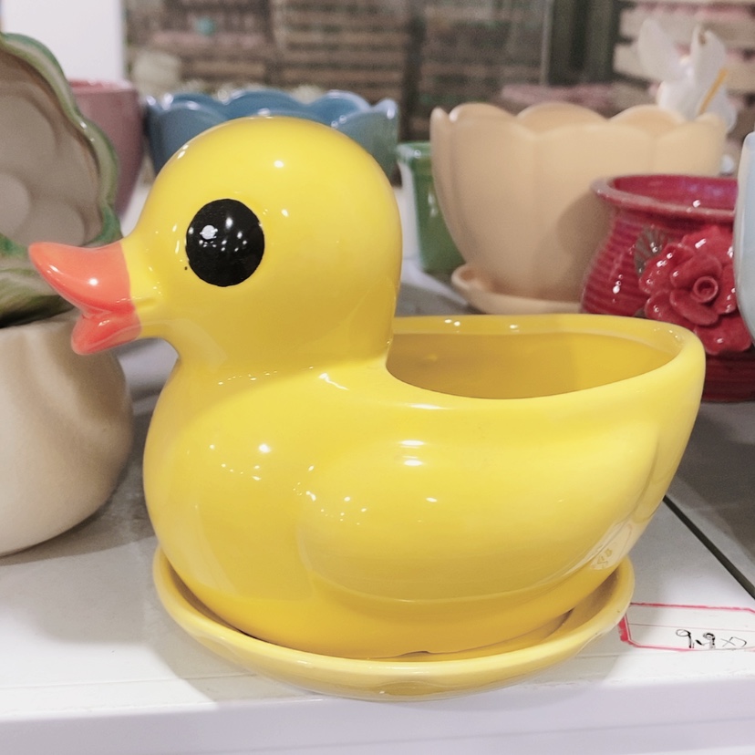 【闪购商品】红陶20CM（含）-50CM（不含）