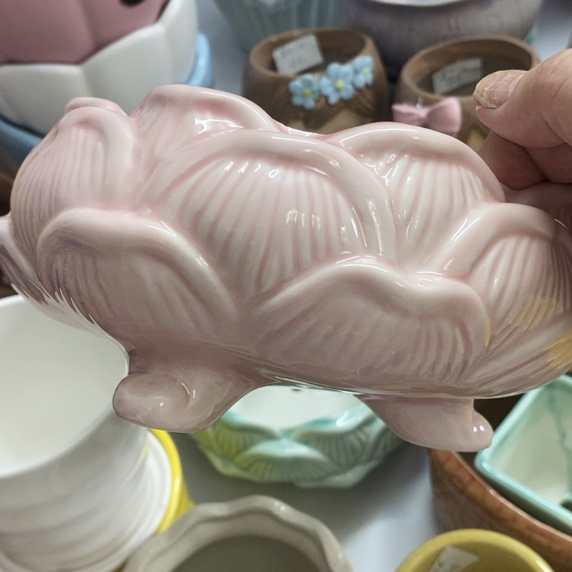 【闪购商品】红陶20CM（含）-50CM（不含）