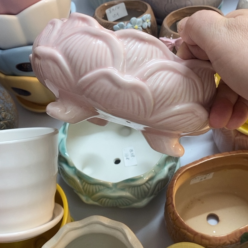 【闪购商品】红陶20CM（含）-50CM（不含）