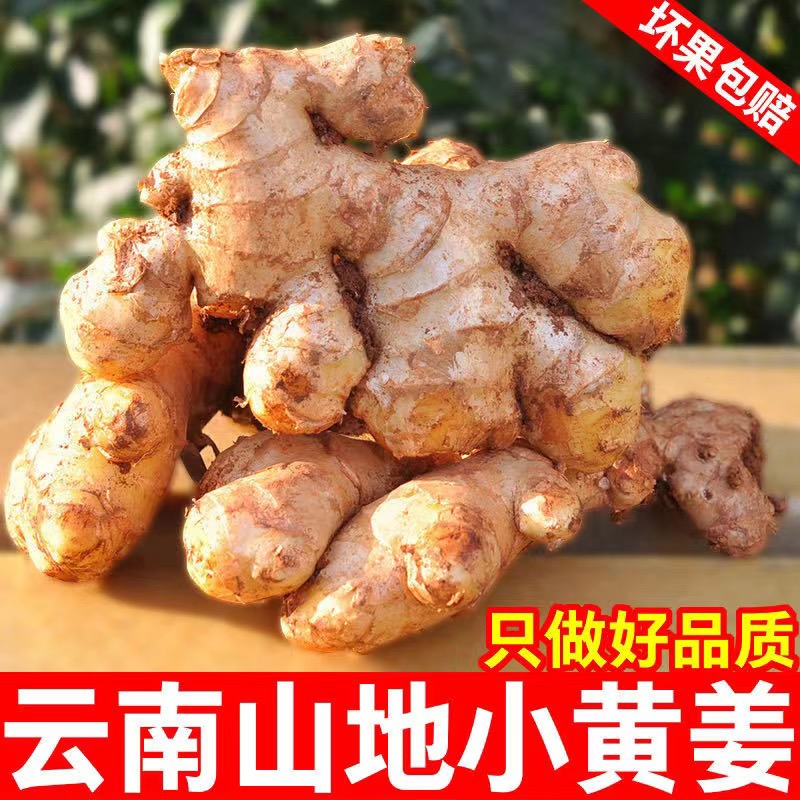 云南高山小黄姜【2年老姜】现挖现发无硫磺姜香浓郁辣味十足3-5-9斤