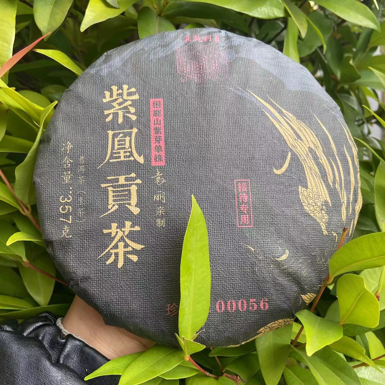 莎莎的茶   YQLZ紫凰贡茶困鹿山紫芽单株古树普洱茶357g/饼 生茶