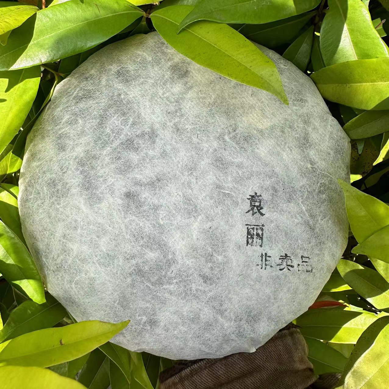 莎莎的茶   白棉纸YL亲制古树纯料普洱茶357g/饼 生普